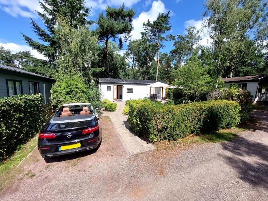 Heerlijk Chalet In Prachtige Natuur. Doornspijk Εξωτερικό φωτογραφία